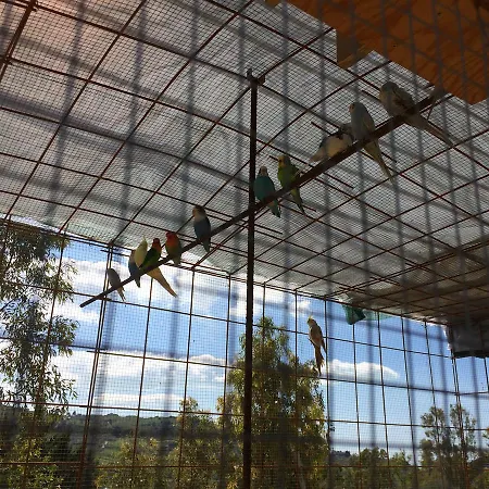 Oda ve Kahvaltı Magna Grecia 2*