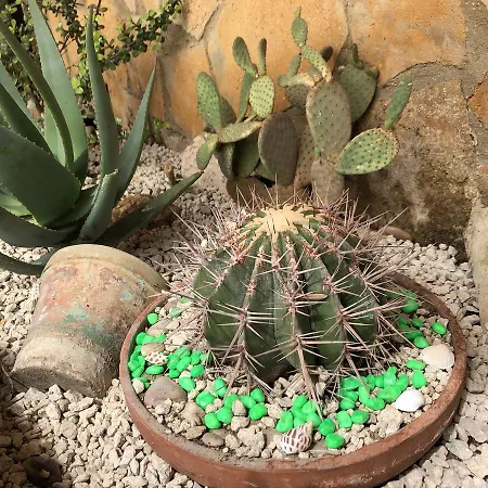 Bed & Breakfast Magna Grecia Agrigento