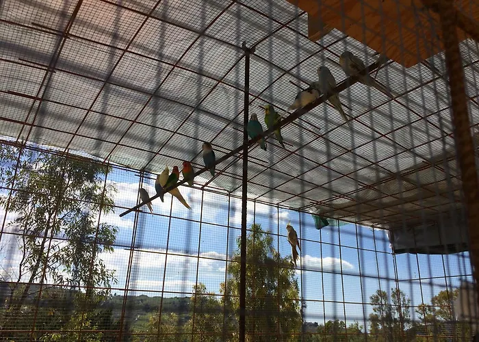 Frühstückspension Magna Grecia 2*