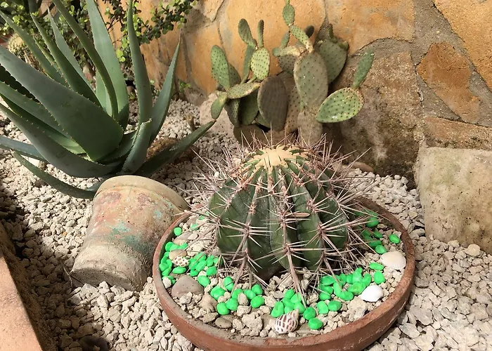 Bed & Breakfast Magna Grecia Agrigento